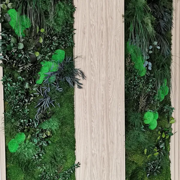 Obrazy Stabilizowane Pełne Naturalnych Roślin